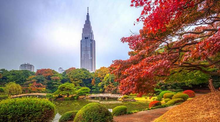 Il parco Shinjuku di Tokyo